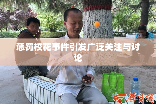 惩罚校花事件引发广泛关注与讨论