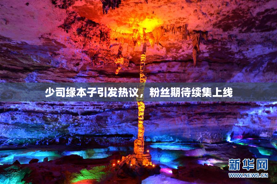 少司缘本子引发热议，粉丝期待续集上线