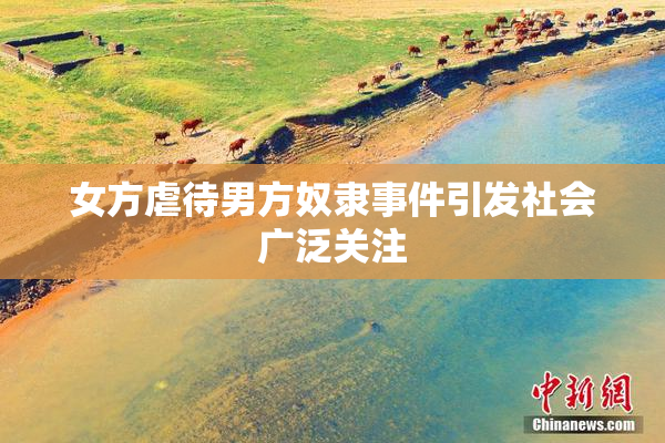 女方虐待男方奴隶事件引发社会广泛关注