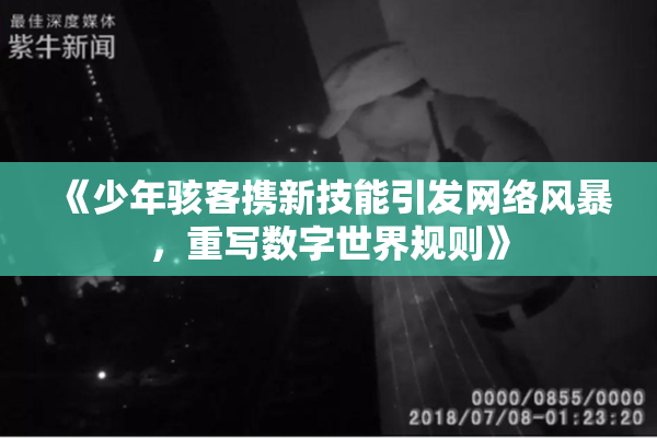 《少年骇客携新技能引发网络风暴，重写数字世界规则》