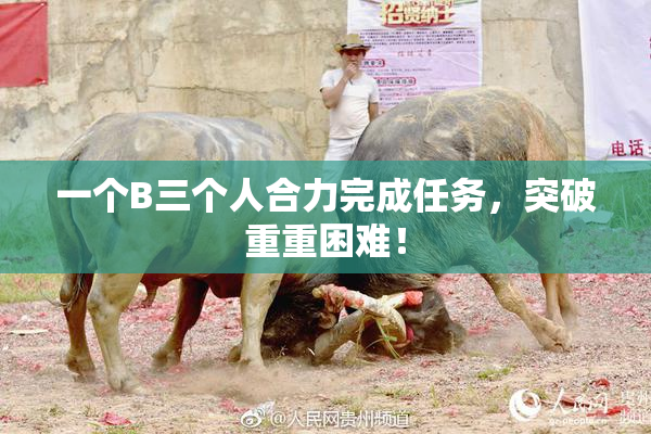 一个B三个人合力完成任务，突破重重困难！