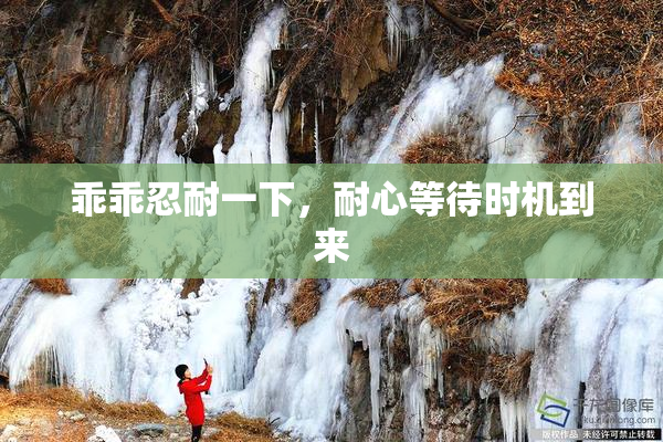 乖乖忍耐一下，耐心等待时机到来