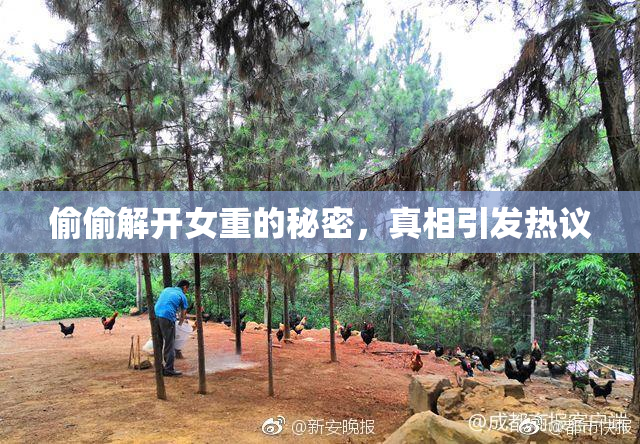 偷偷解开女重的秘密，真相引发热议
