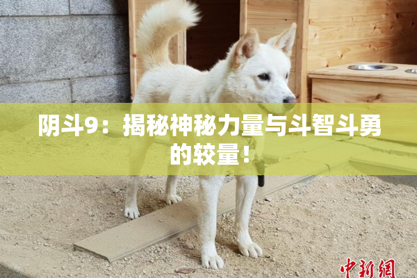阴斗9：揭秘神秘力量与斗智斗勇的较量！