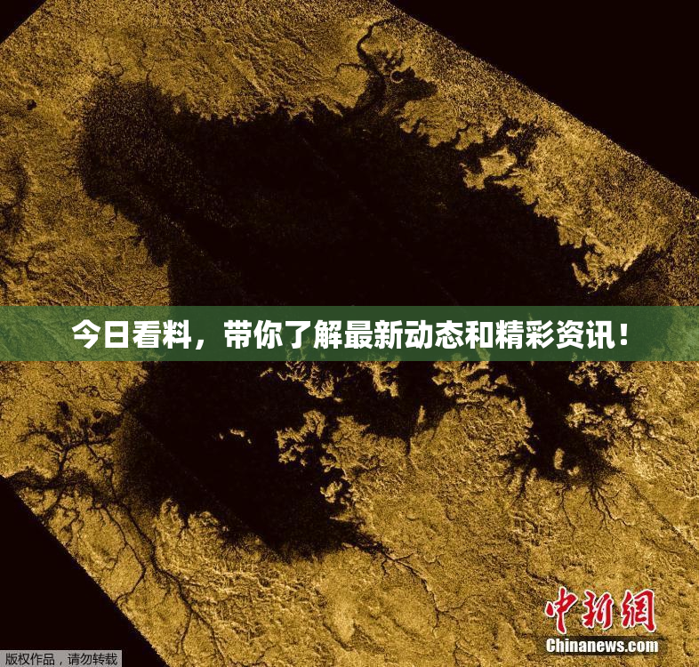 今日看料，带你了解最新动态和精彩资讯！