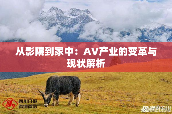 从影院到家中：AV产业的变革与现状解析