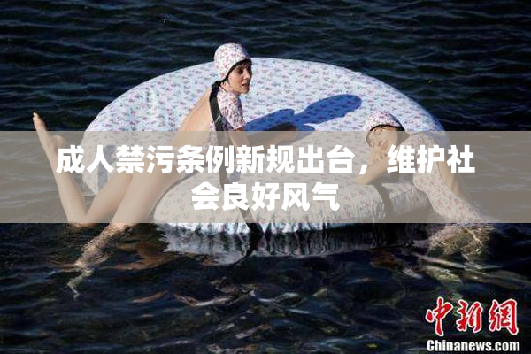 成人禁污条例新规出台，维护社会良好风气