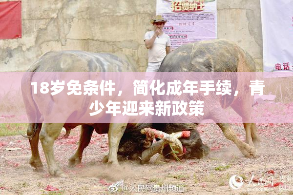 18岁免条件，简化成年手续，青少年迎来新政策