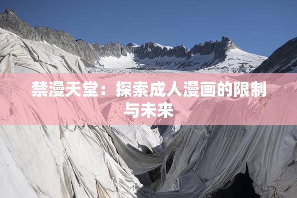 禁漫天堂：探索成人漫画的限制与未来