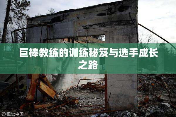 巨棒教练的训练秘笈与选手成长之路