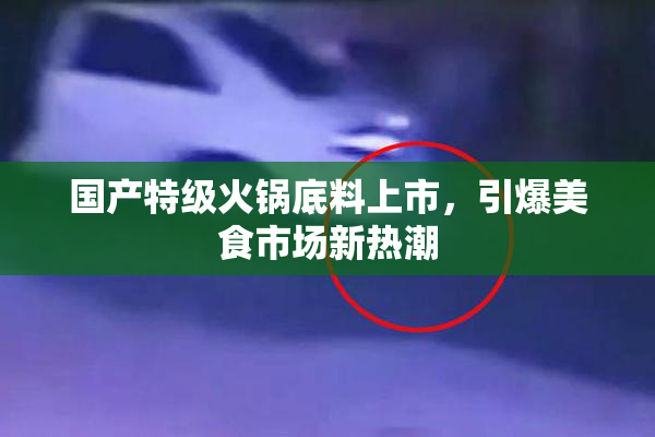 国产特级火锅底料上市，引爆美食市场新热潮