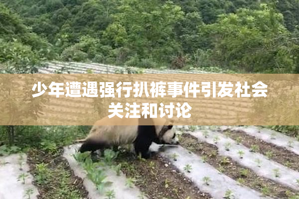 少年遭遇强行扒裤事件引发社会关注和讨论