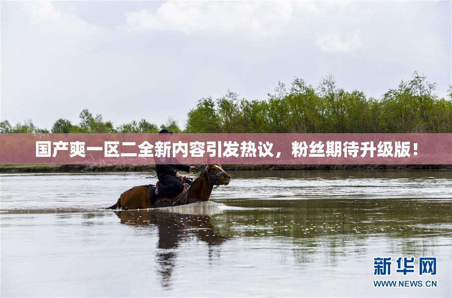 国产爽一区二全新内容引发热议，粉丝期待升级版！