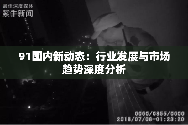 91国内新动态：行业发展与市场趋势深度分析