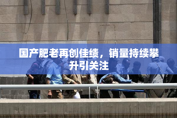 国产肥老再创佳绩，销量持续攀升引关注