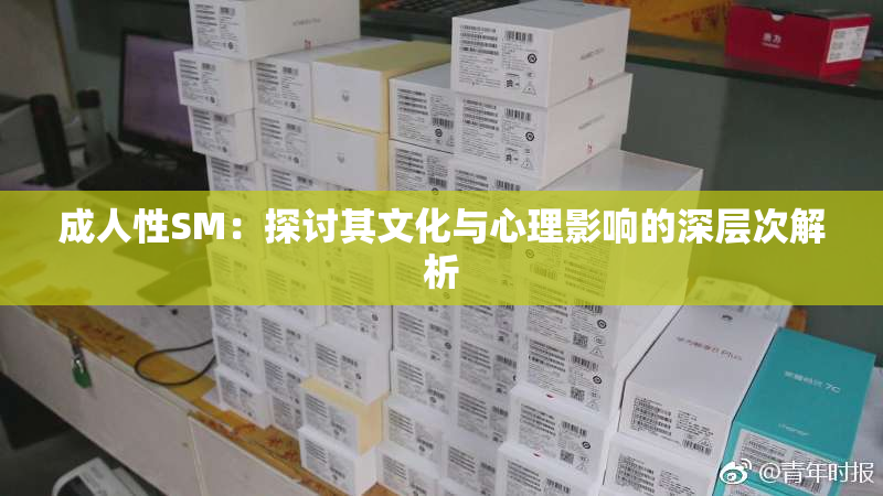 成人性SM：探讨其文化与心理影响的深层次解析