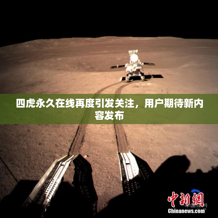 四虎永久在线再度引发关注，用户期待新内容发布