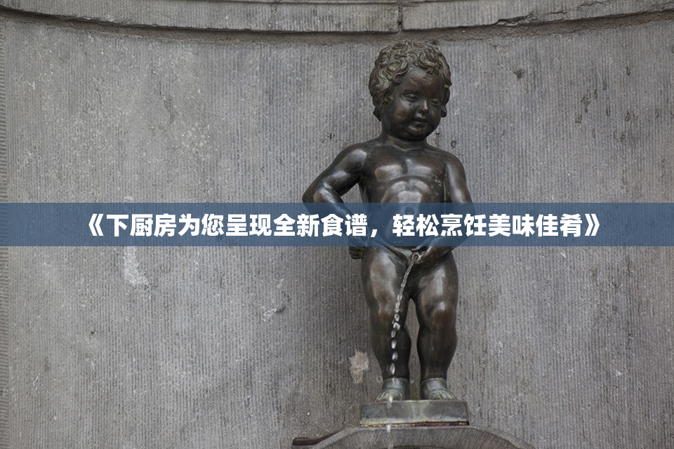 《下厨房为您呈现全新食谱，轻松烹饪美味佳肴》