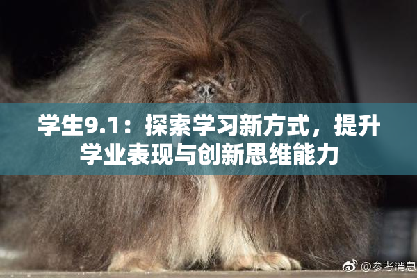 学生9.1：探索学习新方式，提升学业表现与创新思维能力