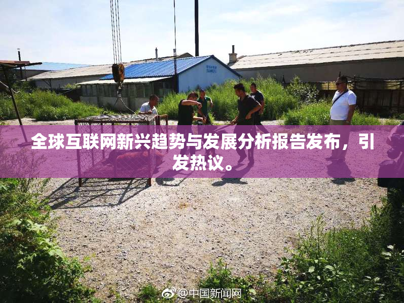 全球互联网新兴趋势与发展分析报告发布，引发热议。