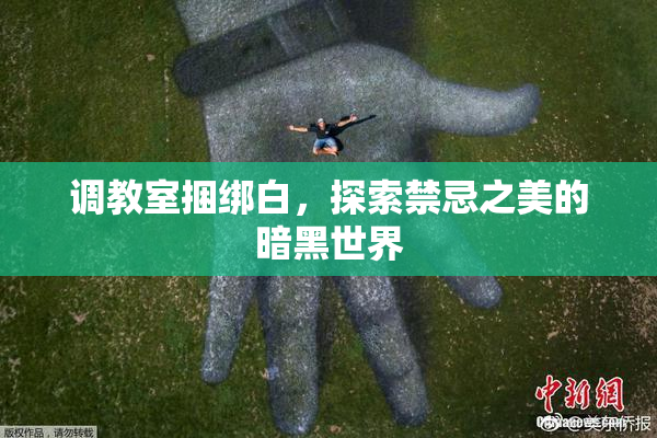 调教室捆绑白，探索禁忌之美的暗黑世界
