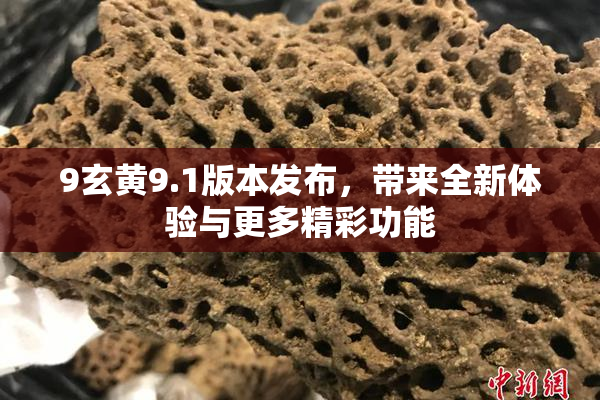 9玄黄9.1版本发布，带来全新体验与更多精彩功能