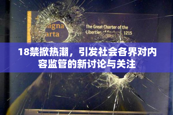 18禁掀热潮，引发社会各界对内容监管的新讨论与关注