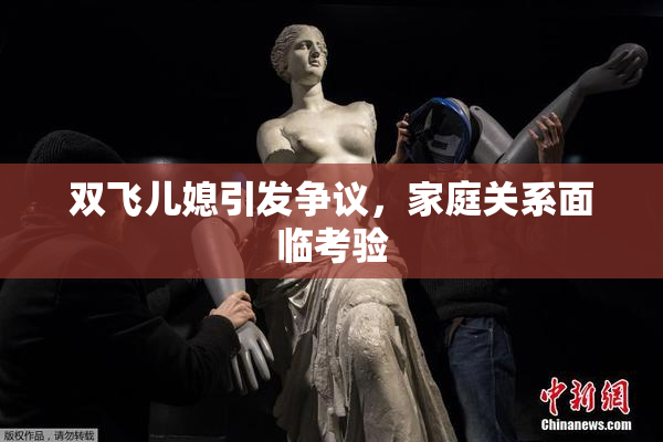 双飞儿媳引发争议，家庭关系面临考验