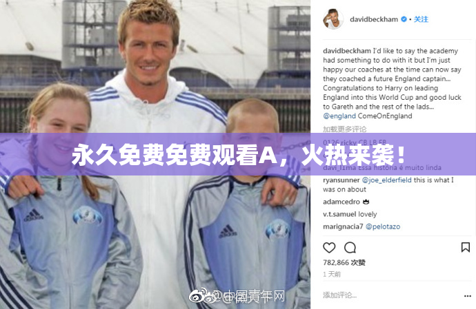 永久免费免费观看A，火热来袭！