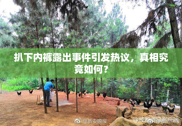 扒下内裤露出事件引发热议，真相究竟如何？