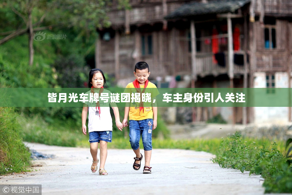 皆月光车牌号谜团揭晓，车主身份引人关注