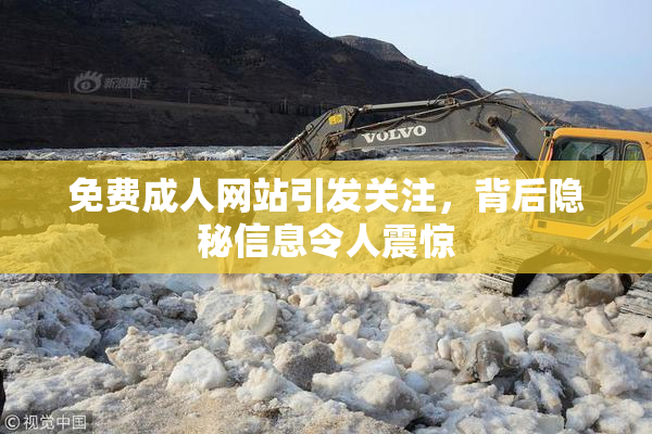 免费成人网站引发关注，背后隐秘信息令人震惊