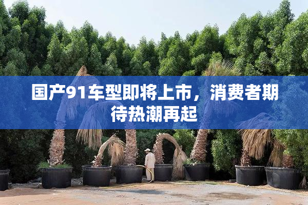 国产91车型即将上市，消费者期待热潮再起