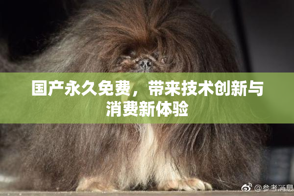 国产永久免费，带来技术创新与消费新体验