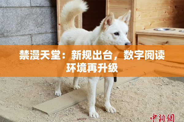 禁漫天堂：新规出台，数字阅读环境再升级