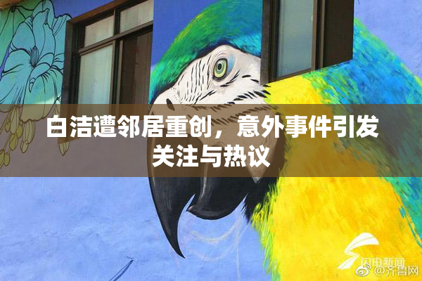 白洁遭邻居重创，意外事件引发关注与热议