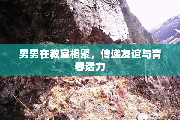 男男在教室相聚，传递友谊与青春活力