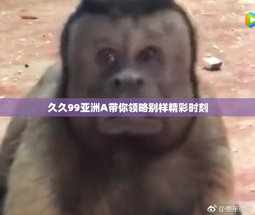 久久99亚洲A带你领略别样精彩时刻