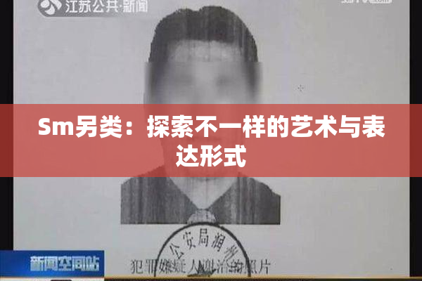 Sm另类：探索不一样的艺术与表达形式