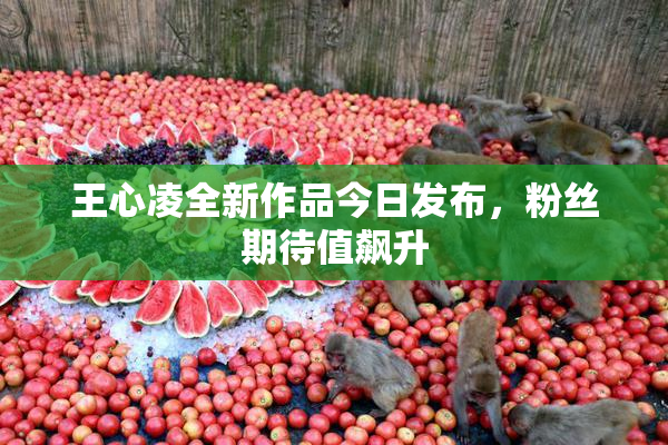 王心凌全新作品今日发布，粉丝期待值飙升