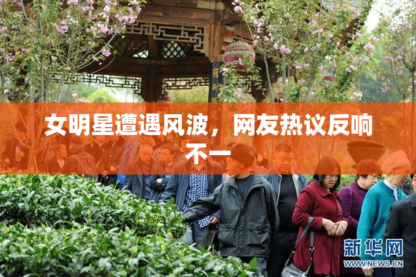 女明星遭遇风波，网友热议反响不一