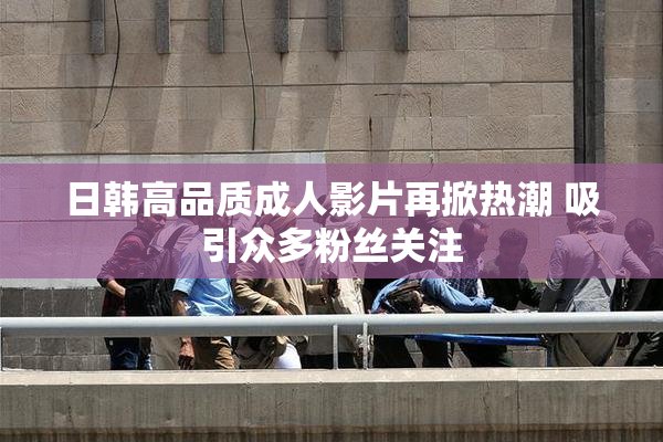日韩高品质成人影片再掀热潮 吸引众多粉丝关注
