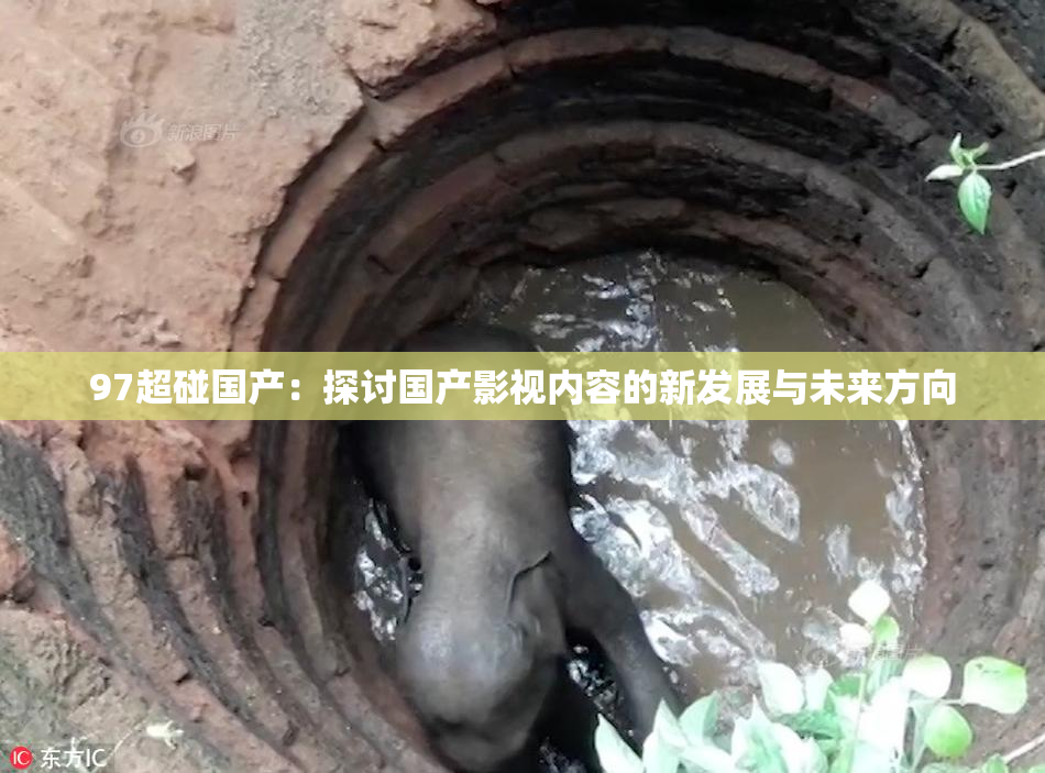 97超碰国产：探讨国产影视内容的新发展与未来方向