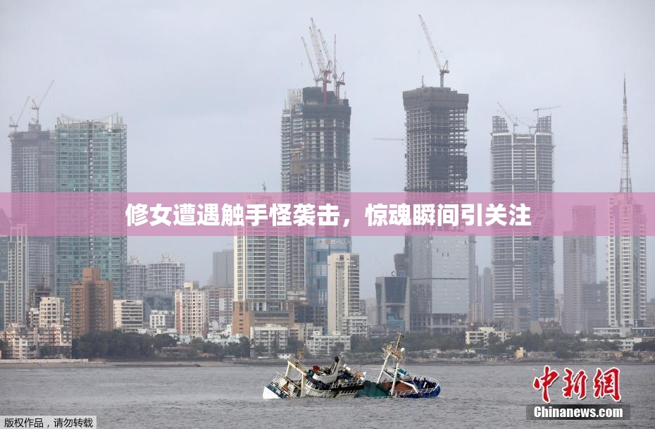 修女遭遇触手怪袭击，惊魂瞬间引关注