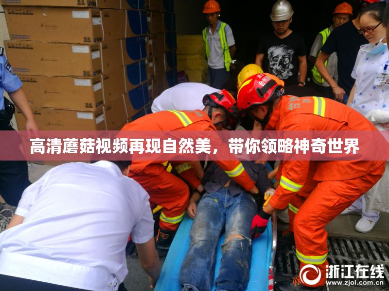高清蘑菇视频再现自然美，带你领略神奇世界