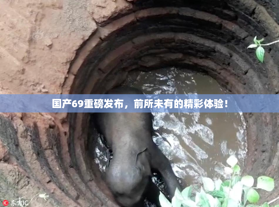 国产69重磅发布，前所未有的精彩体验！