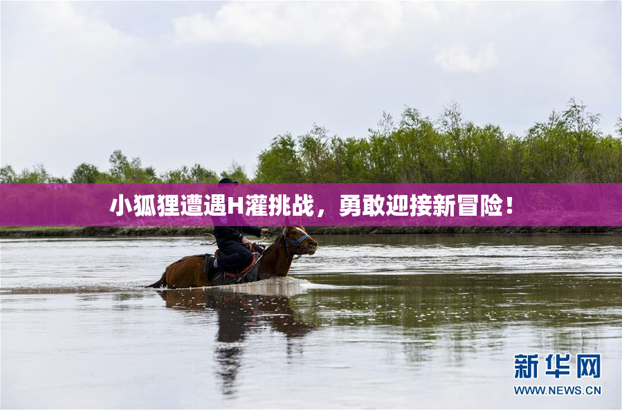 小狐狸遭遇H灌挑战，勇敢迎接新冒险！