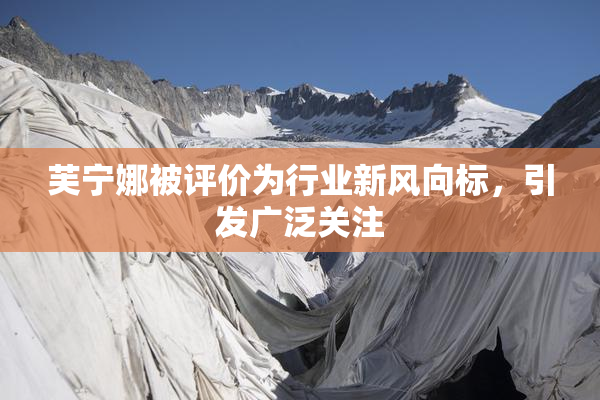 芙宁娜被评价为行业新风向标，引发广泛关注