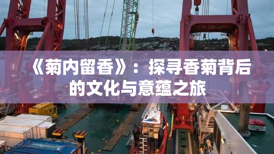《菊内留香》：探寻香菊背后的文化与意蕴之旅