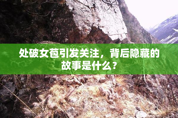 处破女苞引发关注，背后隐藏的故事是什么？